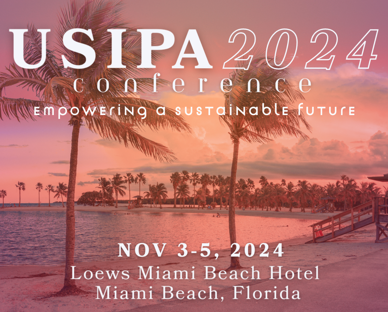 The USIPA Conference