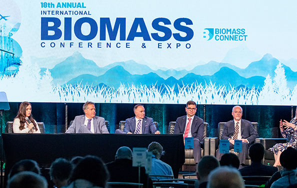 Biomass conference