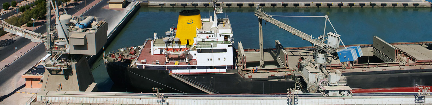Siwertell ship unloader in Kuwait