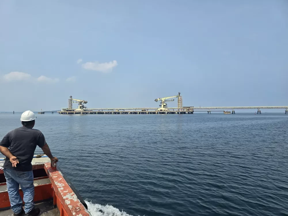 Two Siwertell ship unloaders