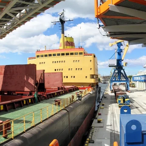 White Siwertell Ship loader in operation