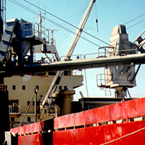 Siwertell Ship loader in operation