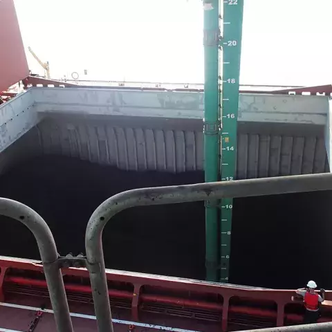 Green Siwertell Ship unloader in operation