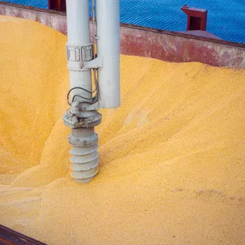 White Siwertell Ship unloader for grain, Germany