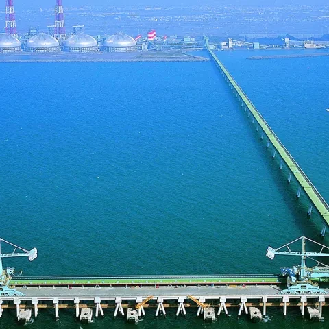 Siwertell Ship unloader for coal, Taiwan