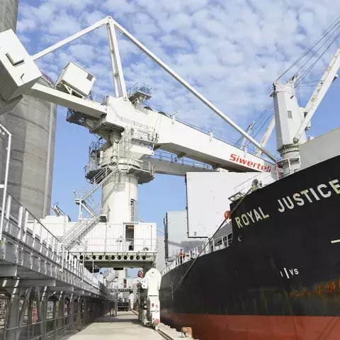 One of two Siwertell ship unloaders at Gladstone dock, Liverpool, UK