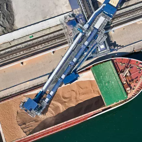 Siwertell ship unloader unloading biomass