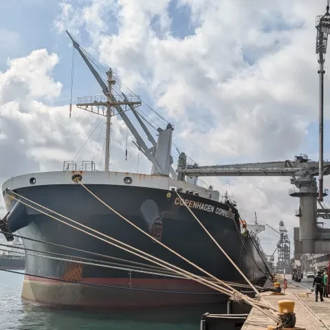 Siwertell ship unloader