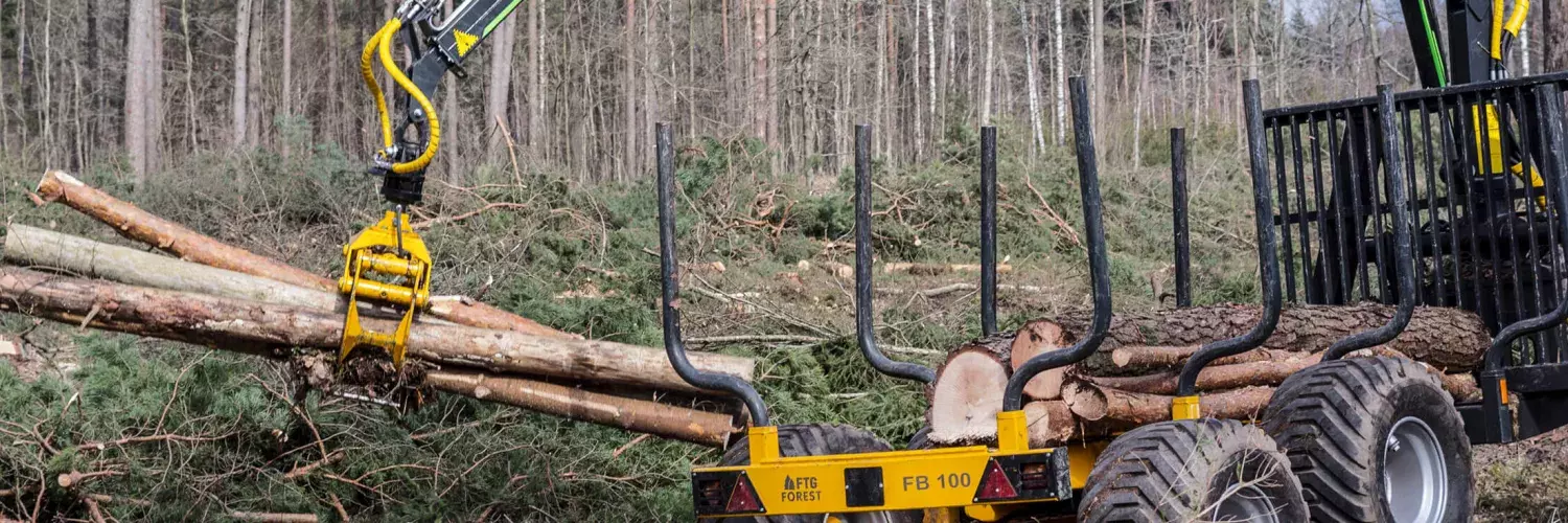 FTG machine loading timber in the forest