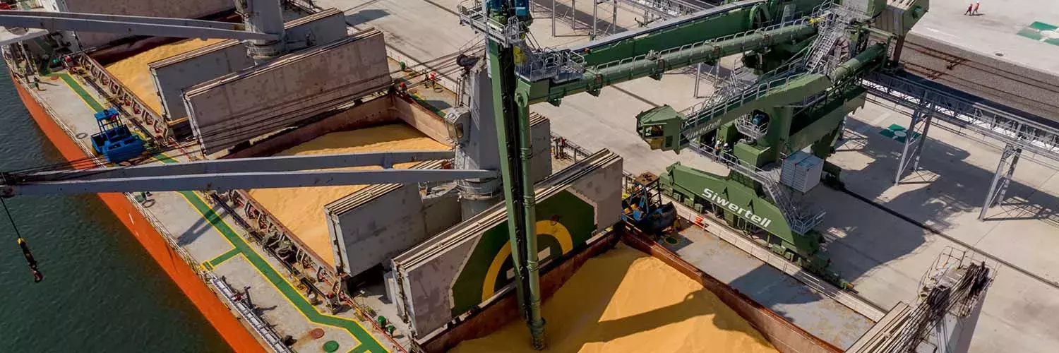 Siwertell ship unloader is unloading grain