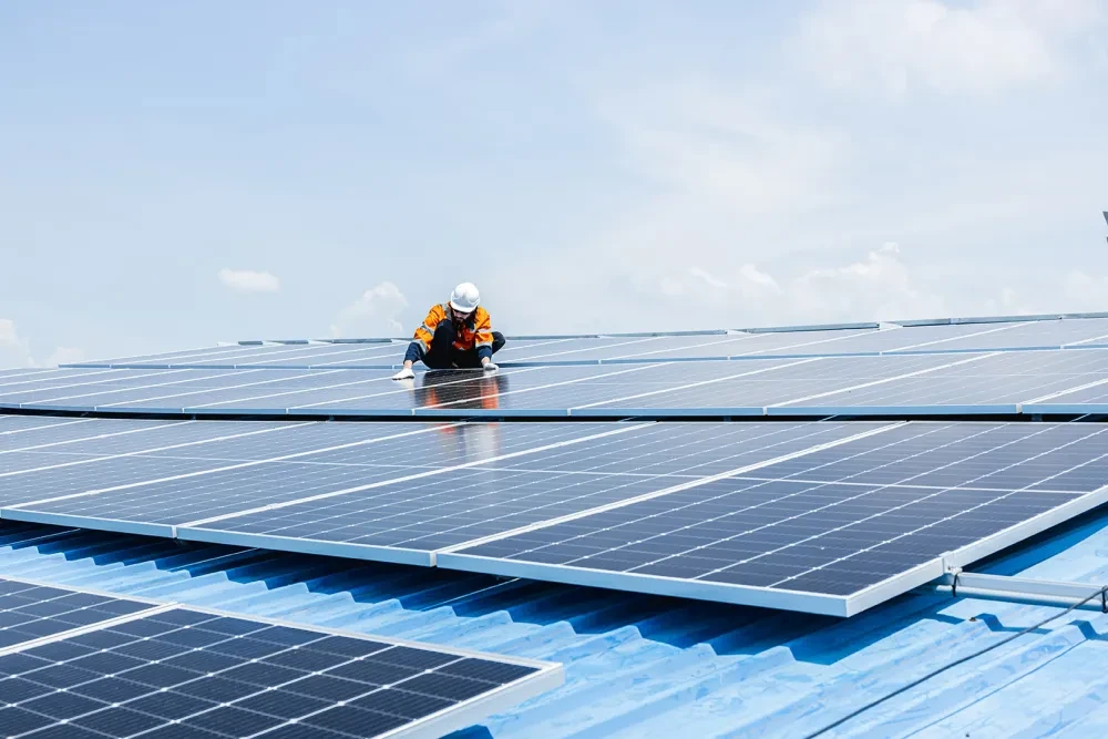 solar panels