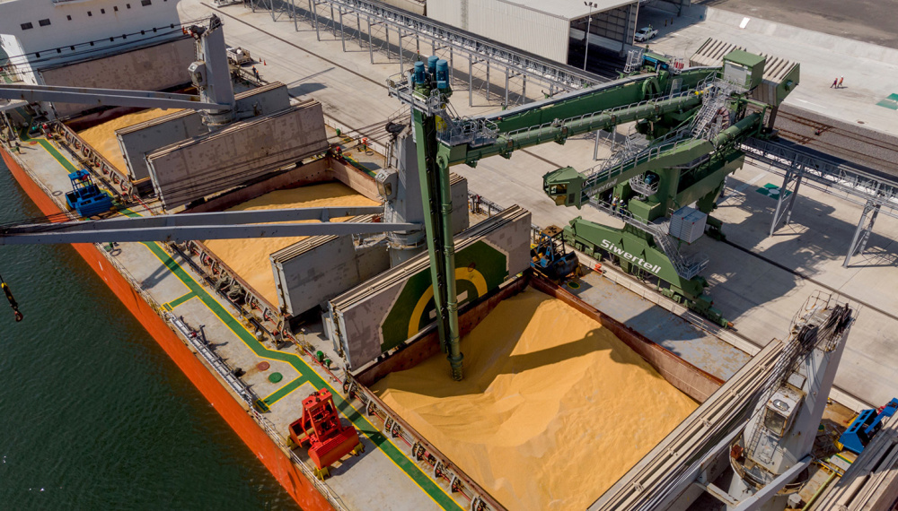 Siwertell ship unloader in Mexico