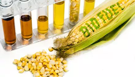Corn and test tubes