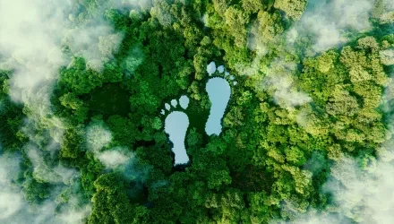 Sustainability footprints