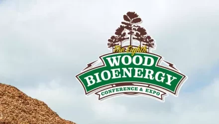 Wood bioenergy conference flyer