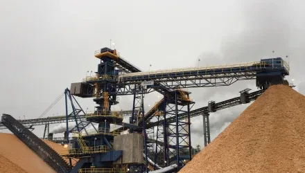 conveying system and stacks of wood pulp