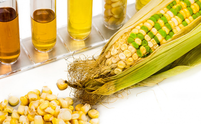 biofuels industry