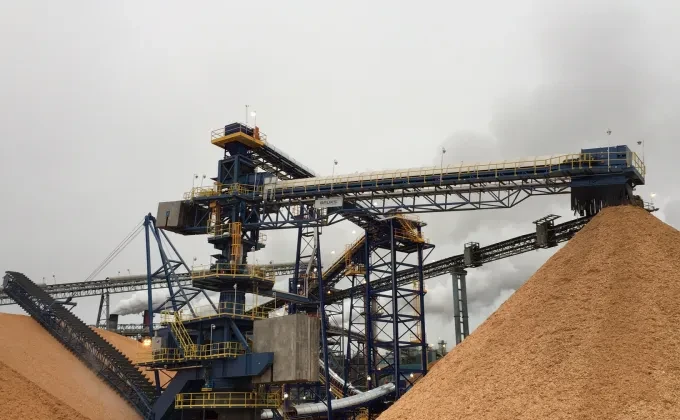 conveying system and stacks of wood pulp
