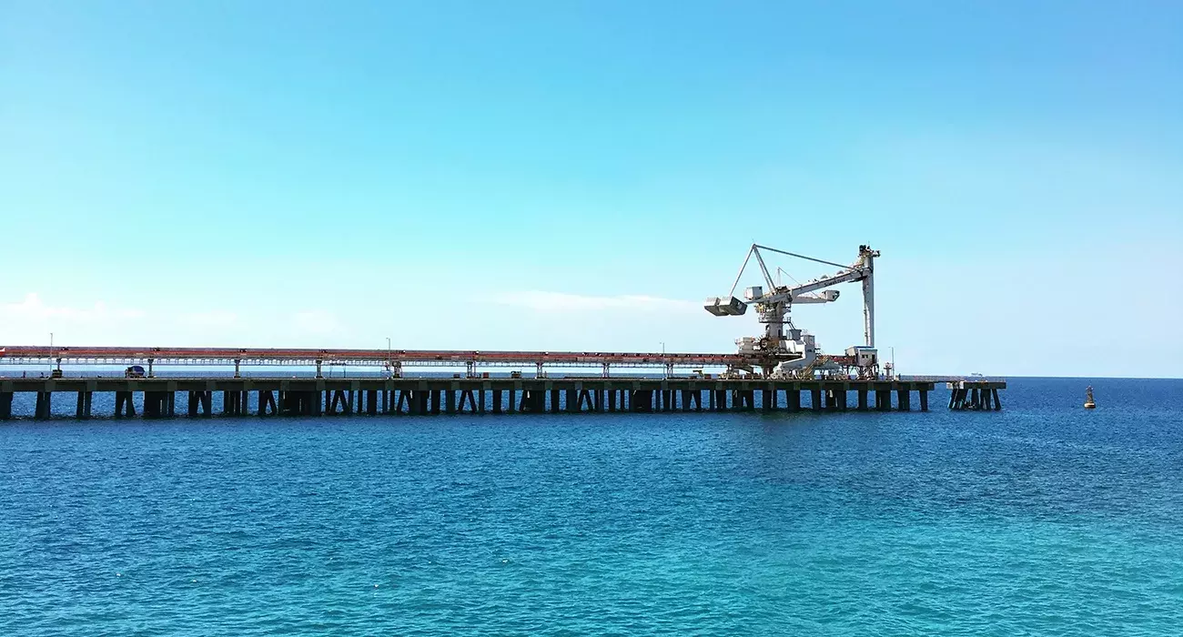 Ship unloader - Philippines