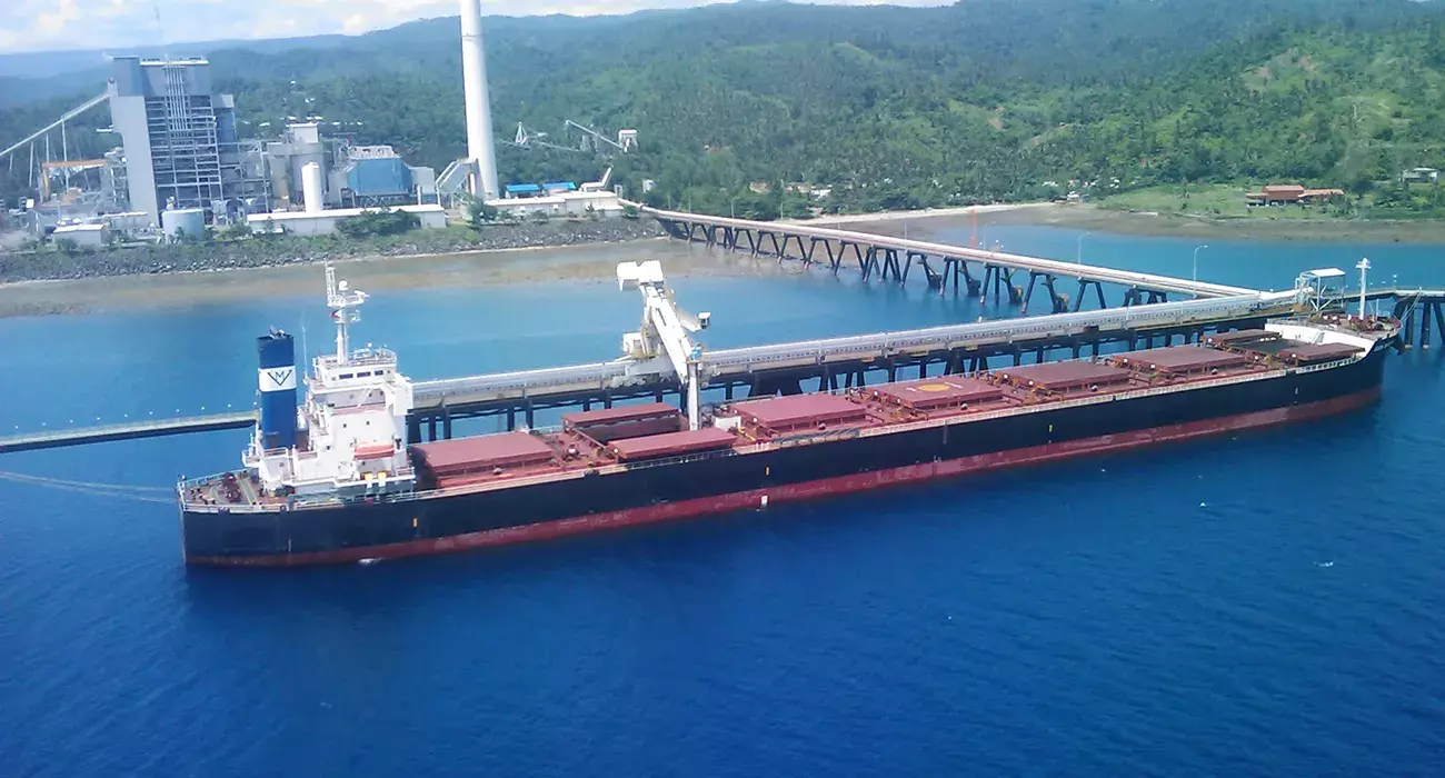 Siwertell Ship unloader for coal, Philippines