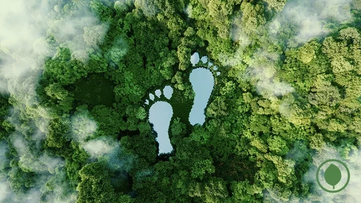 foot shaped lakes in a djungle